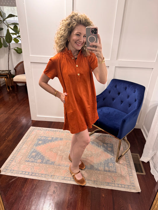 Rust suede stand collar dress
