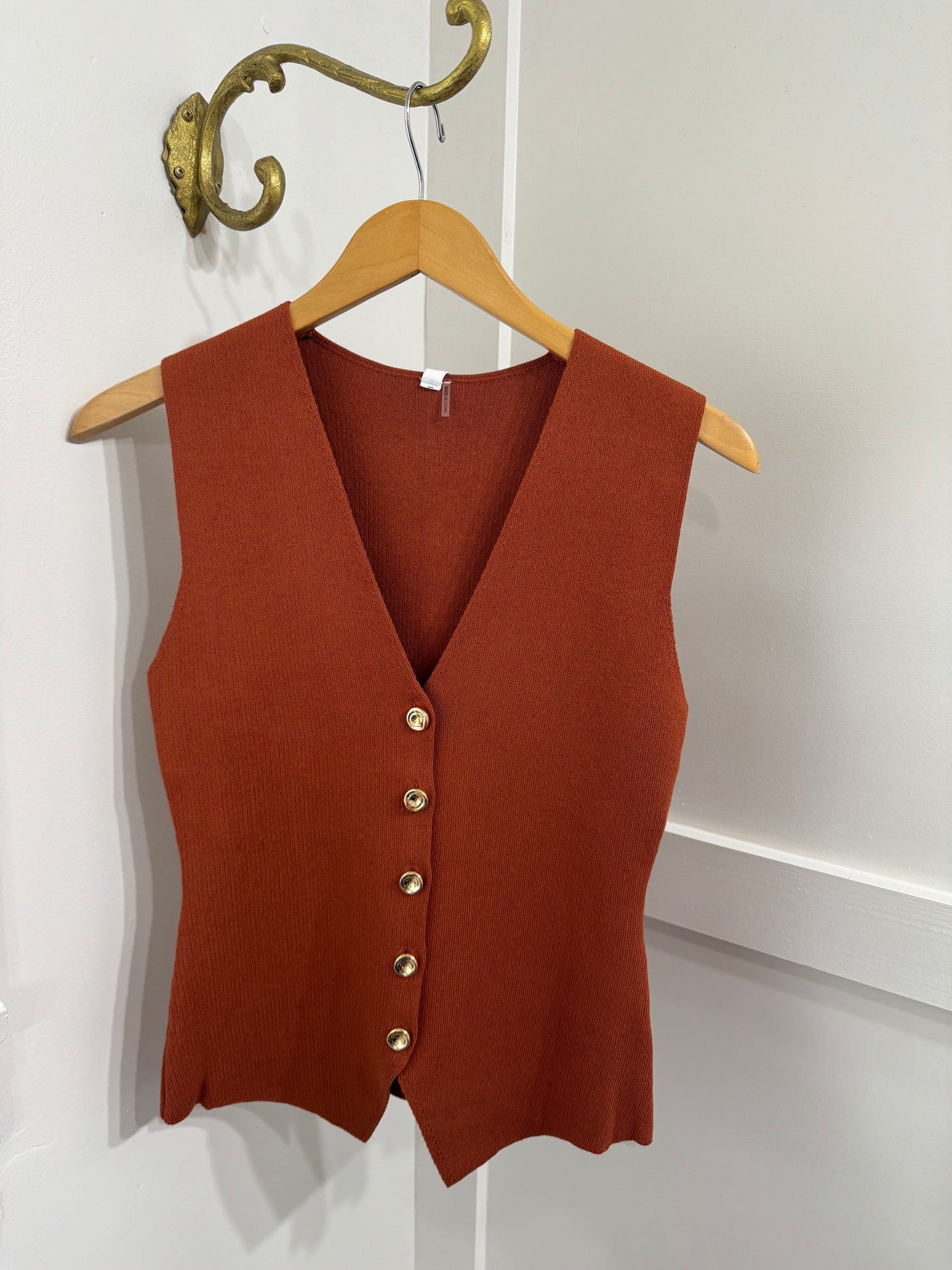 Camel button front sweater vest